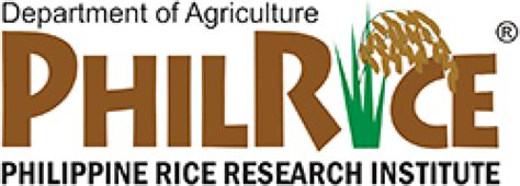 philrice hiring|Philippine Rice Research Institute .